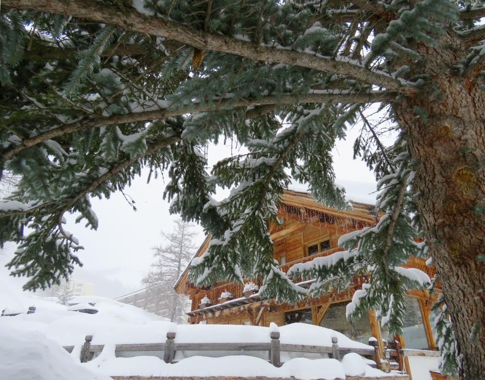 Ecureuil 3* Vars (Hautes-Alpes)